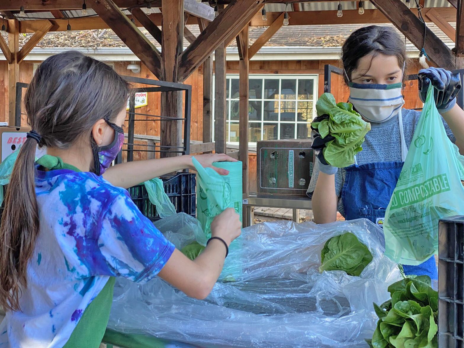 Volunteers pack food at Pie Ranch